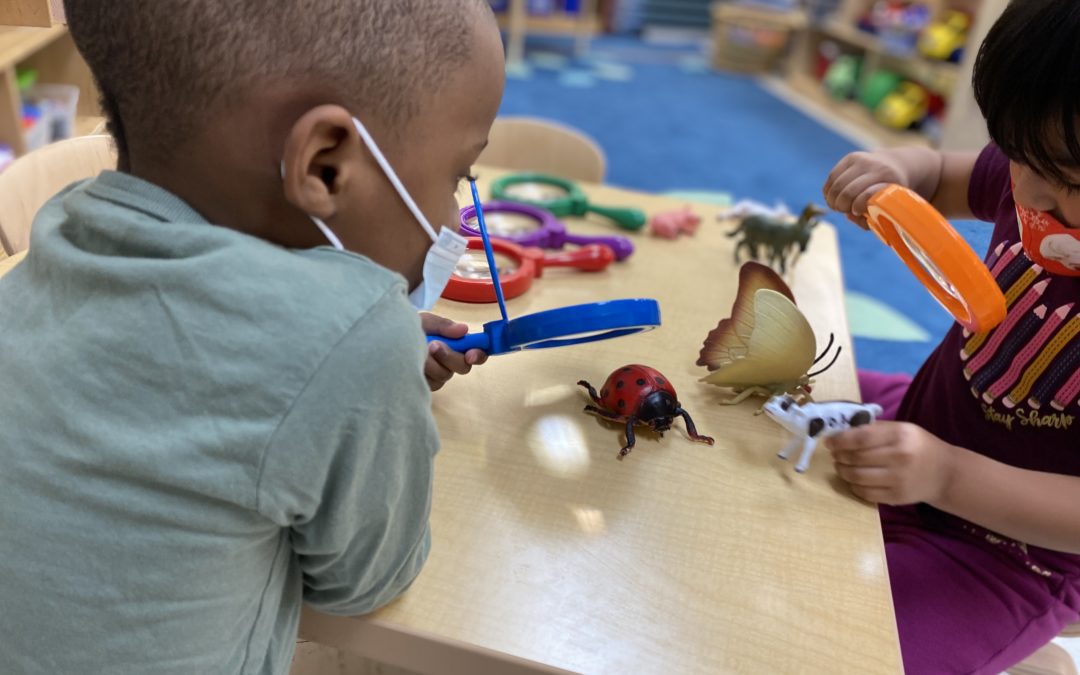 The Carole Robertson Center for Learning Acquires Albany Park Community Center